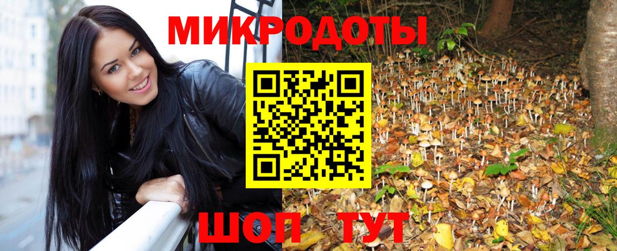 Псилоцибиновые грибы мицелий Заволжье